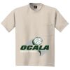 Beefy T ® 100% Cotton T Shirt with Pocket Thumbnail